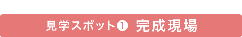 完成実例